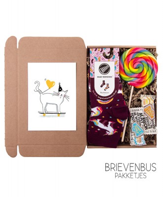 brievenbus pakje,johnny doodle,lolly,party cats,unicorn sock,mismatched socks,many mornings,sokken